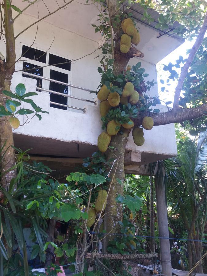 Nature Home Mirissa Exterior foto