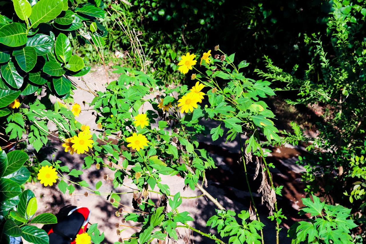 Nature Home Mirissa Exterior foto
