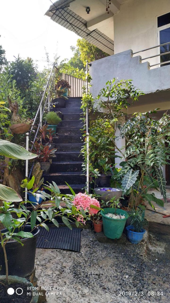 Nature Home Mirissa Exterior foto