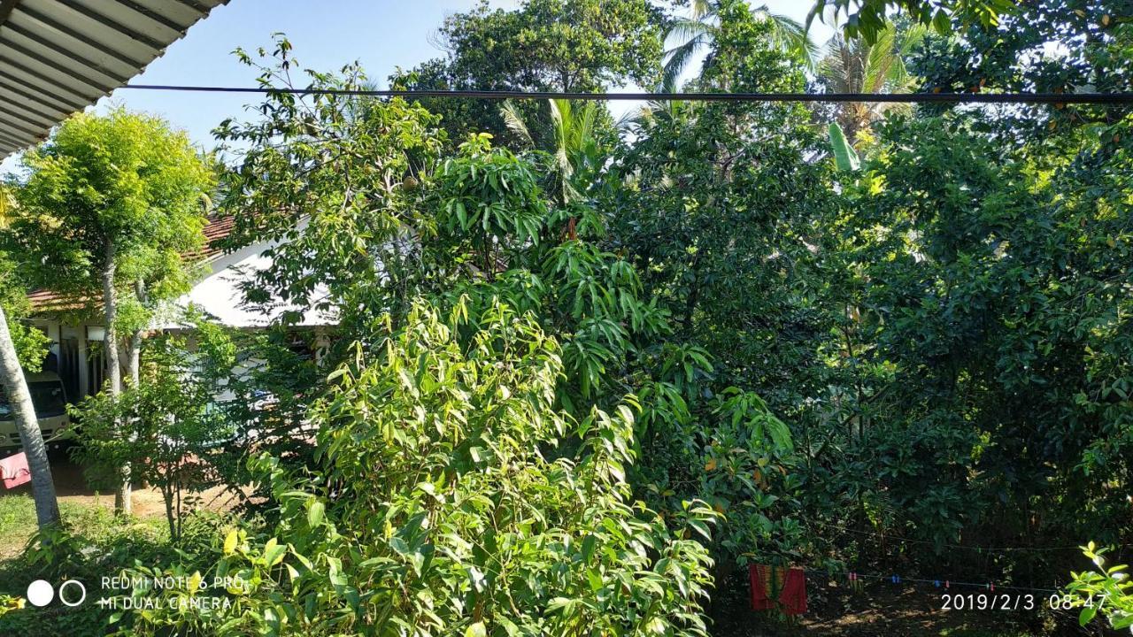 Nature Home Mirissa Exterior foto