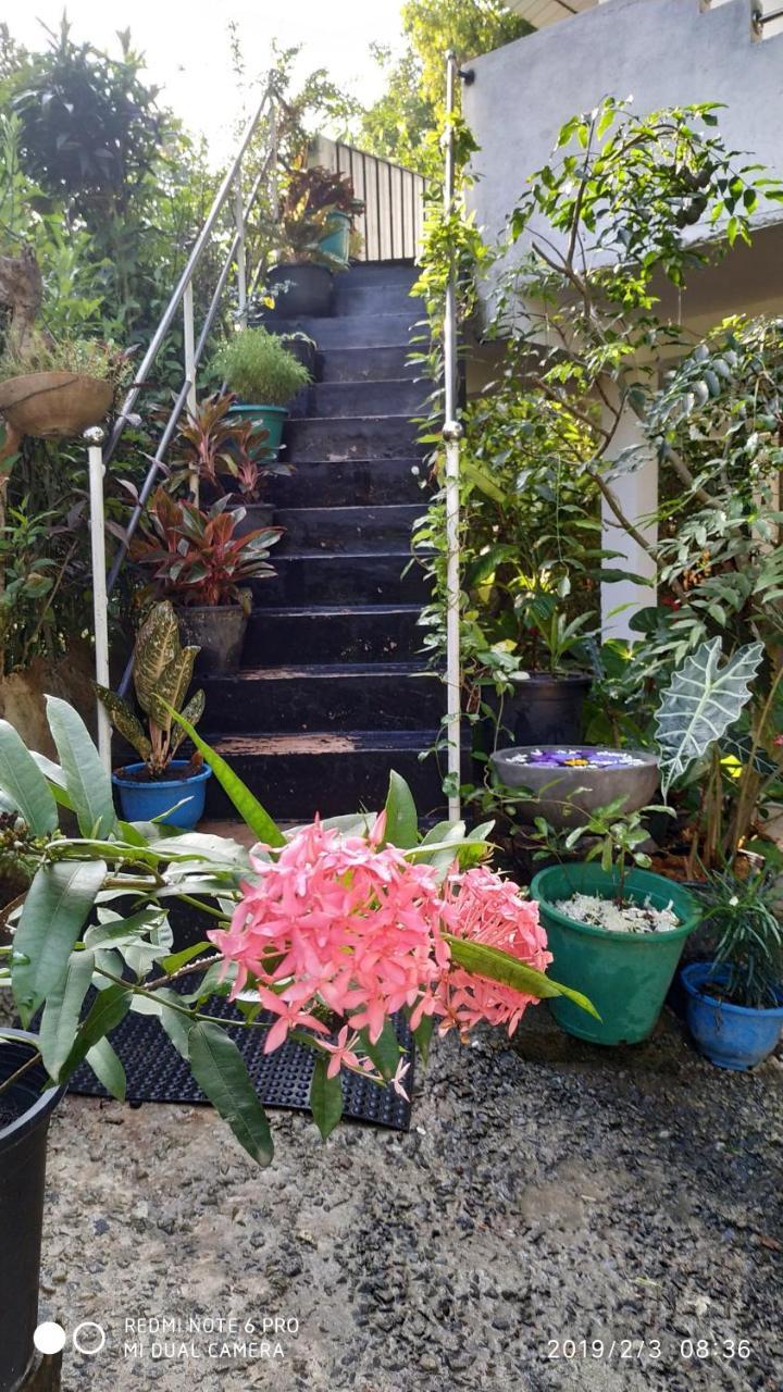 Nature Home Mirissa Exterior foto