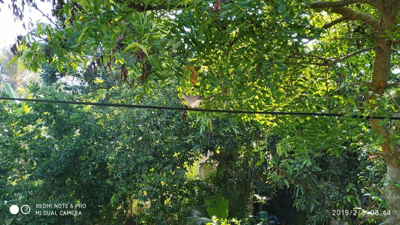 Nature Home Mirissa Exterior foto