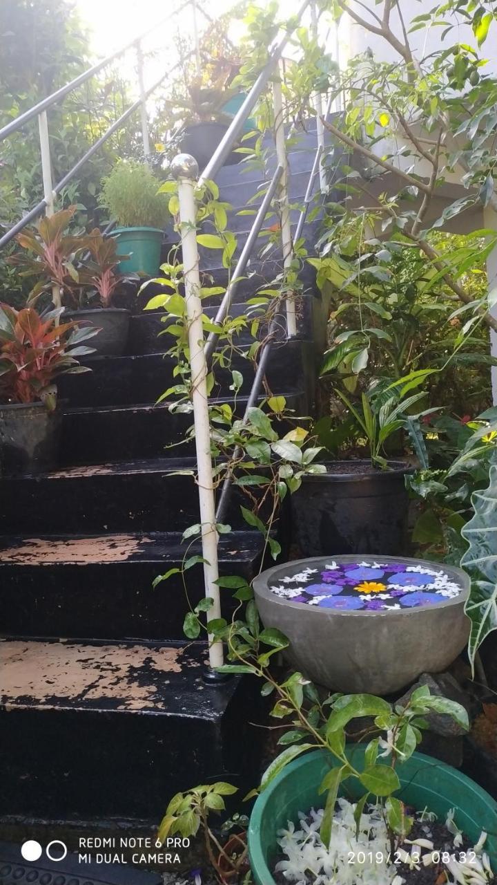 Nature Home Mirissa Exterior foto